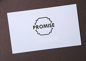promise-spiderbond